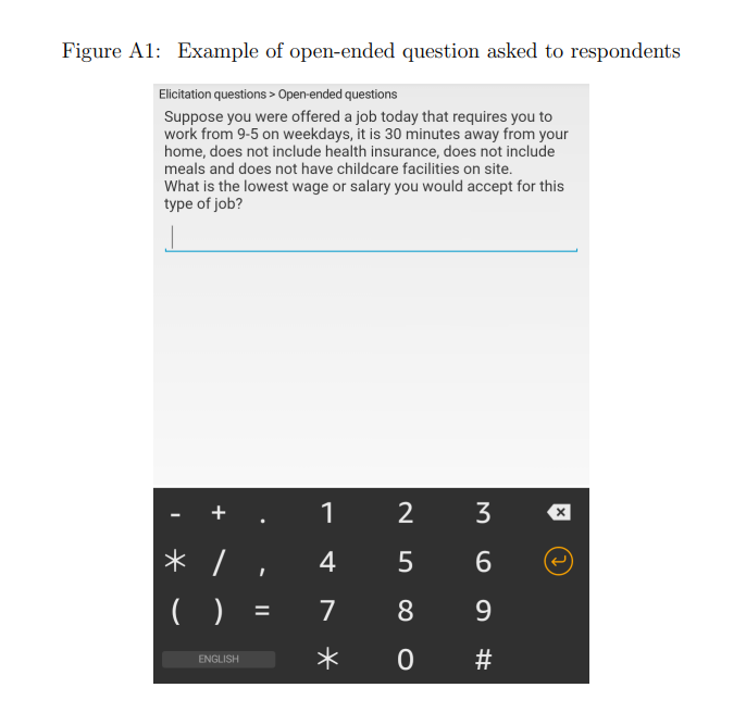 FigureA1: Example of open-ended question asked to respondents